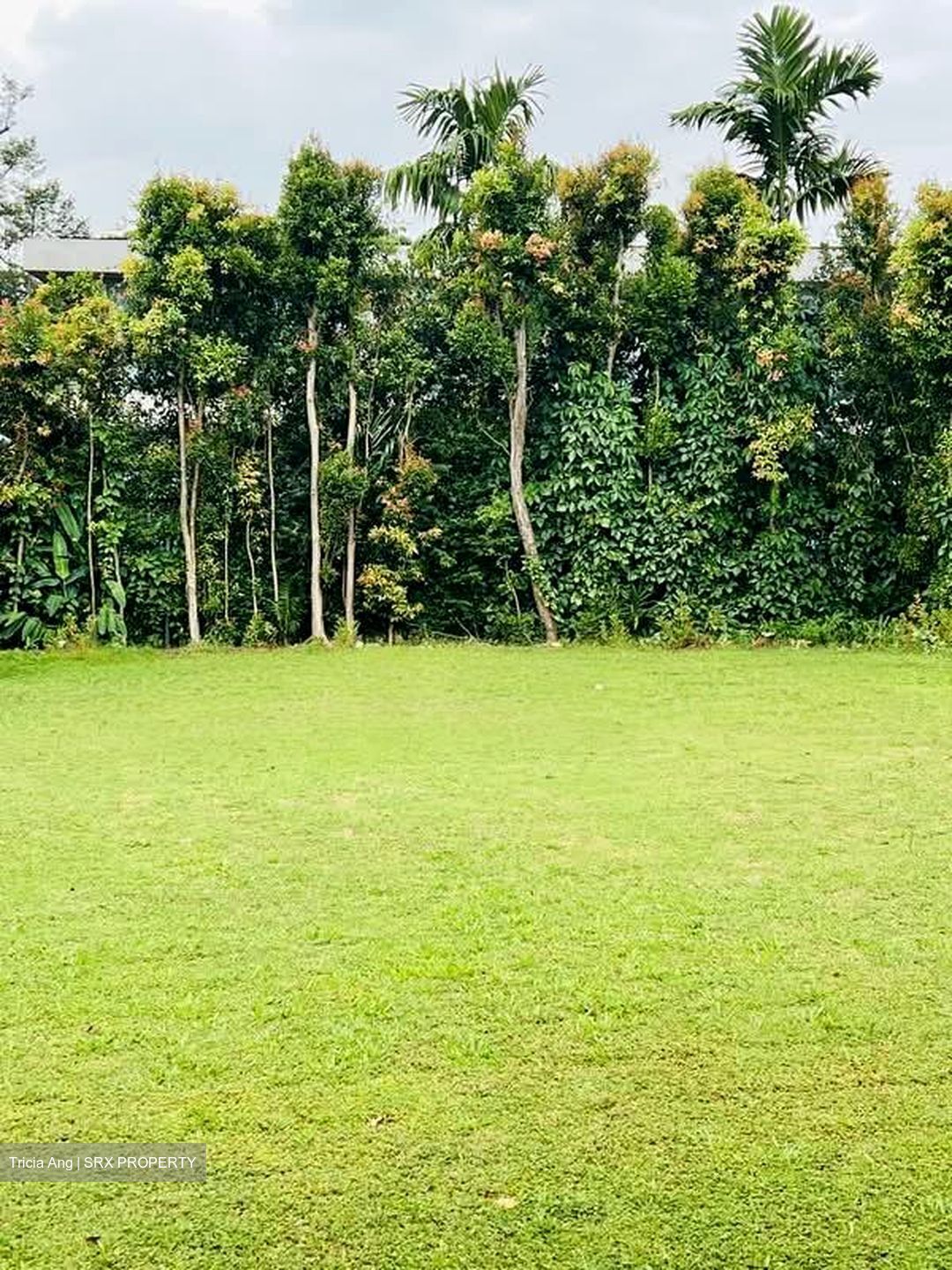Bin Tong Park (D10), Detached #572221641